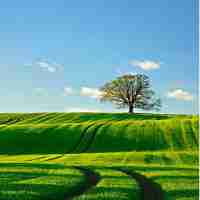 免​费​深​度​学​习​脚﻿本﻿